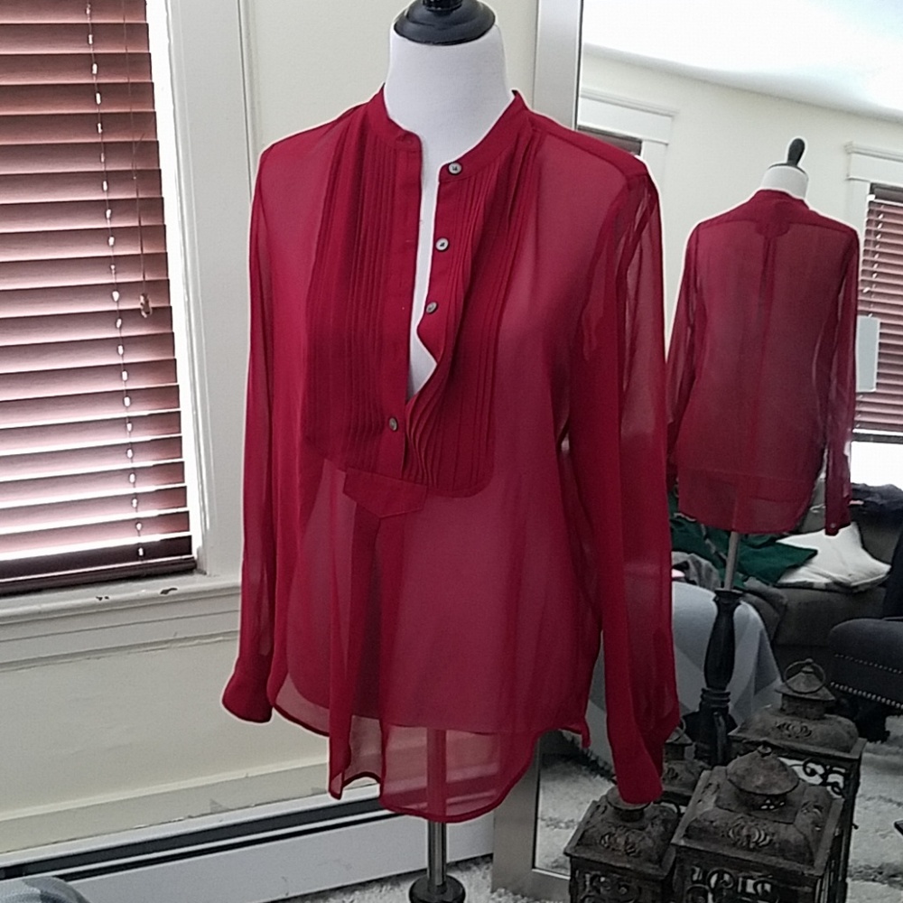 Sheer Blouse